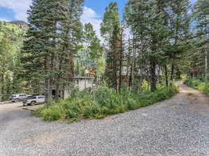 View of dirt / gravel driveway featuring a wooded view