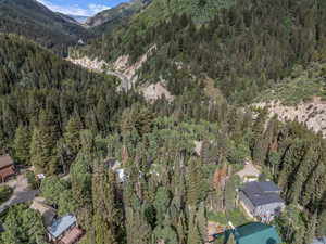 Aerial view of property's location with a heavily wooded area and a mountain backdrop
