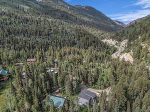 View of property location with a heavily wooded area and a mountain backdrop
