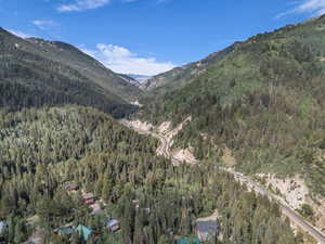 View of mountain backdrop with a heavily wooded area
