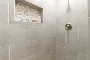 Bathroom view of tiled shower