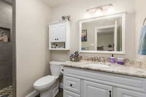 Full bathroom featuring vanity and a tile shower