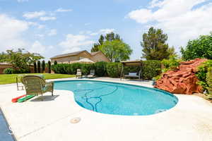 View of swimming pool with a patio area and a lawn