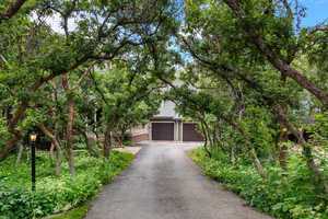 View of property hidden behind natural elements featuring asphalt driveway and brick siding
