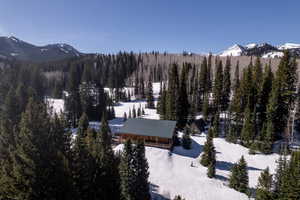 Mountain view with a forest