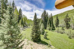 View of yard with a wooded view