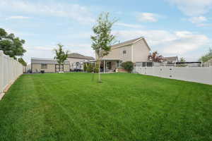 View of fenced backyard