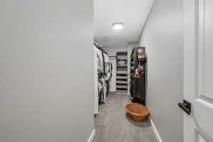 Spacious closet featuring attic access and carpet