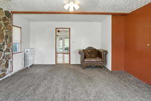 Sitting room with radiator, carpet, a textured ceiling, and a ceiling fan