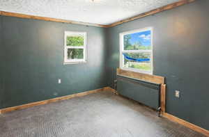 Unfurnished room with radiator, plenty of natural light, a textured ceiling, and carpet