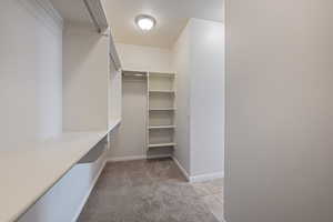 Walk in closet with light colored carpet