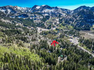 View of mountain background with a heavily wooded area