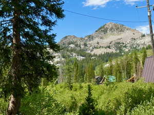 View of mountain backdrop
