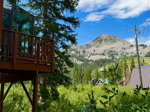 View of mountain background