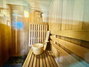 Sauna featuring wood walls