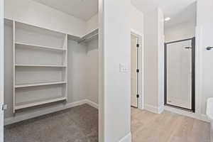 Walk in closet with wood finished floors