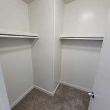 Walk in closet featuring carpet flooring