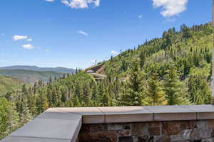View of mountain background with a forest