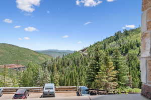 View of mountain background with a forest