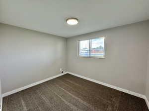 Spare room with dark colored carpet
