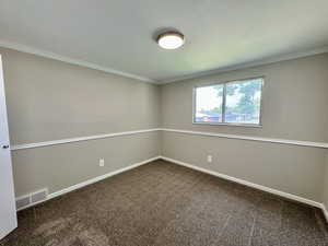 Carpeted spare room with baseboards and crown molding
