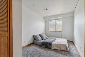 Bedroom featuring carpet floors and a textured ceiling