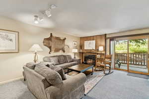 Living area with carpet floors, rail lighting, and a tile fireplace