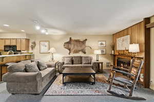 Living area with carpet floors, wood walls, a tiled fireplace, and rail lighting