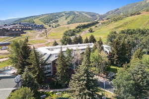 Bird's eye view of mountains