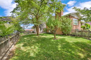 View of fenced backyard