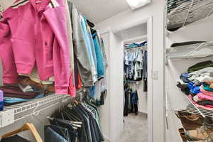 Walk in closet with carpet