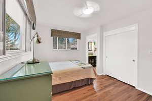 Bedroom featuring multiple windows and light wood-type flooring