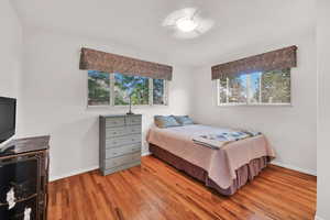 Bedroom featuring multiple windows and light wood-type flooring