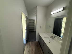Bathroom with wood finished floors and vanity