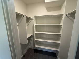 Walk in closet with dark colored carpet