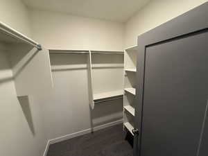Walk in closet featuring dark carpet