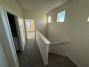 Staircase featuring carpet flooring, plenty of natural light, and washer / dryer