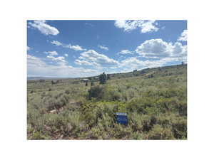 View of local wilderness