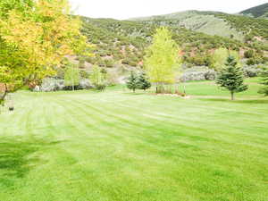 View of grassy yard featuring a mountain view and golf course view