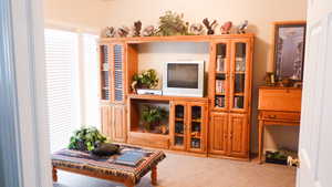 Sitting room with carpet flooring