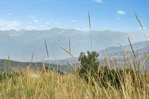 View of mountain backdrop