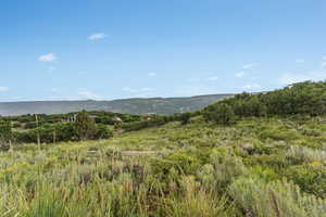 View of mountain background