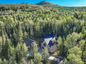 Aerial view of property and surrounding area featuring a forest