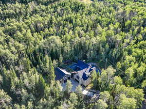 View of subject property featuring a forest