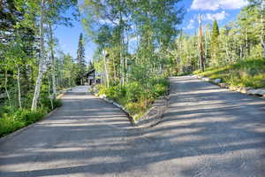 View of asphalt driveway