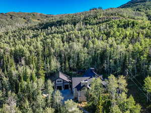 Mountain view featuring a forest