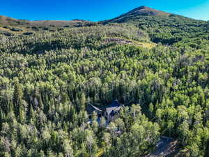 View of mountain background featuring a heavily wooded area