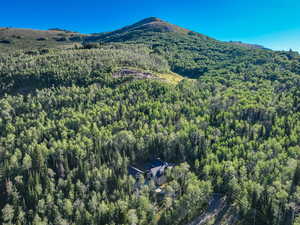 View of mountain background featuring a heavily wooded area
