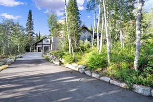 View of front of property with concrete driveway and a garage