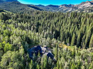 View from above of property featuring a forest and a mountain backdrop
